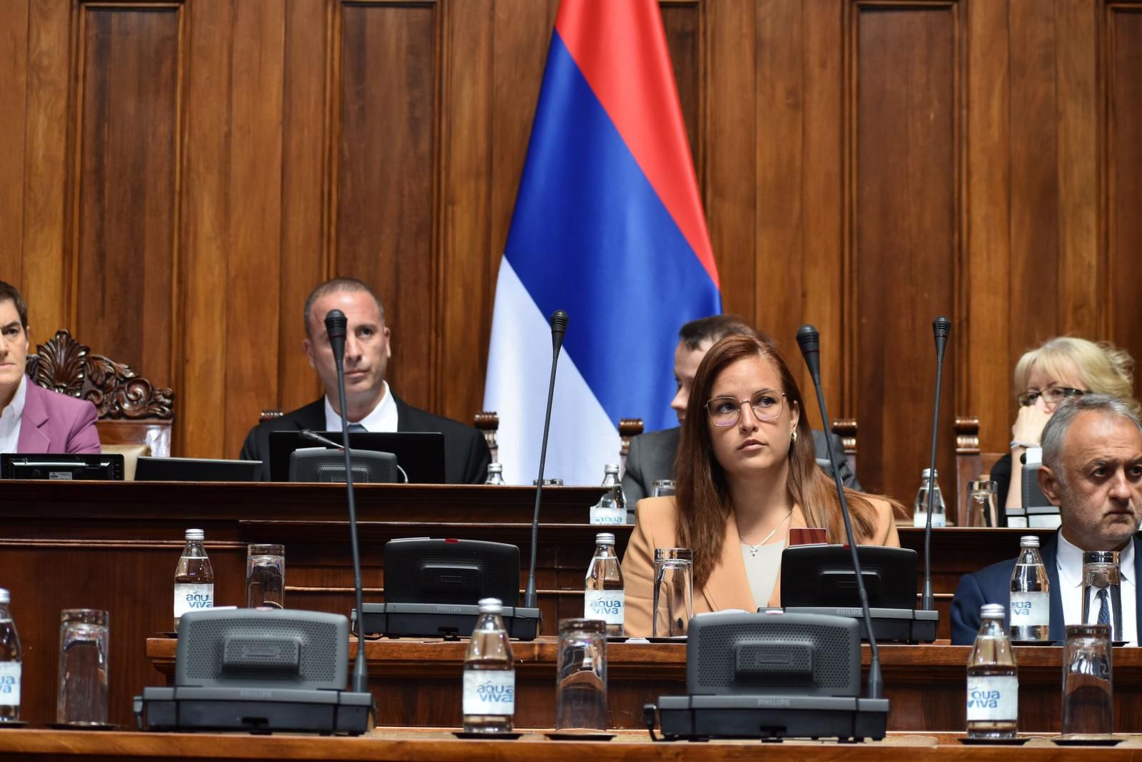 PAvkov zakon Skupština 3.jpg