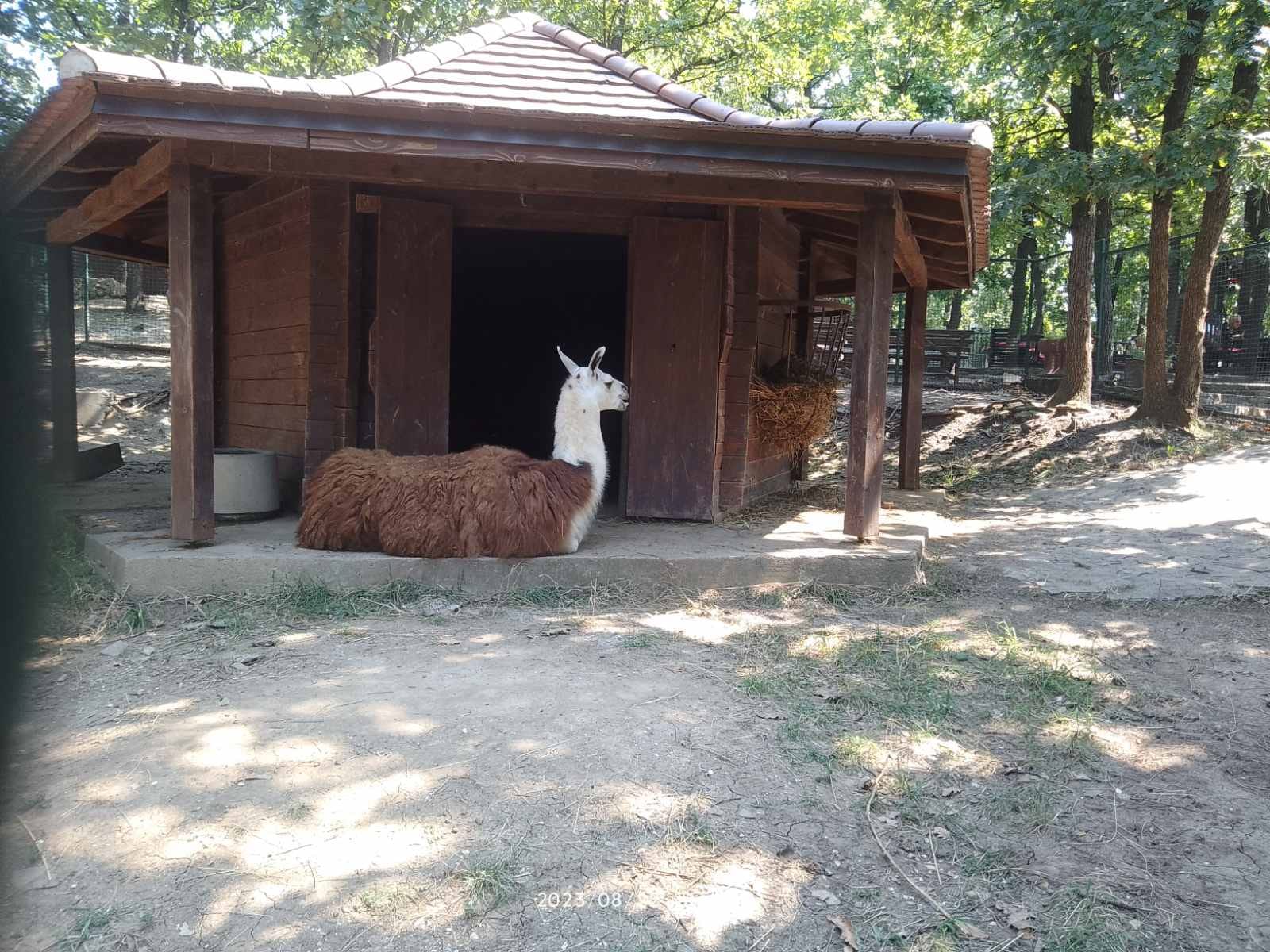 Zoološki vrt Bor