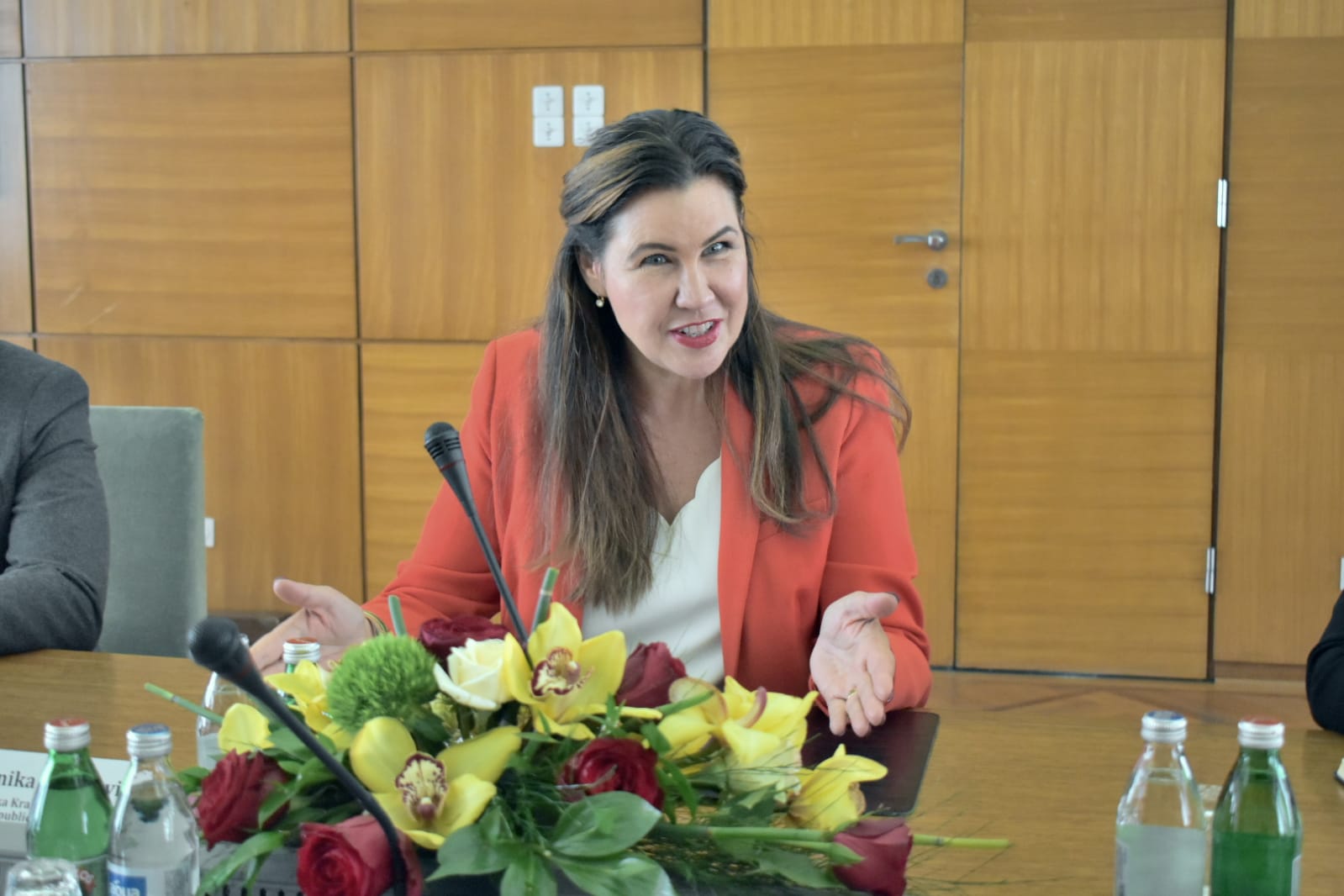 Vujović sa ambasadorkom Švedske o Zelenoj agendi i saradnji u oblasti zaštite životne sredine