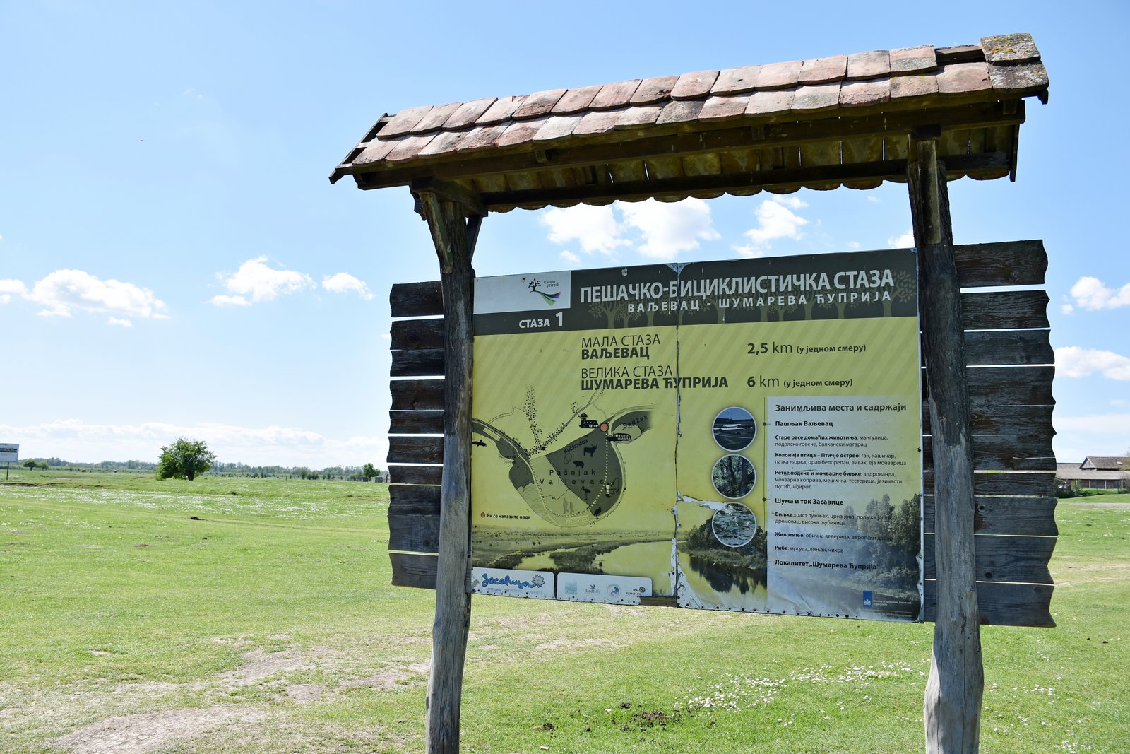 Засавица