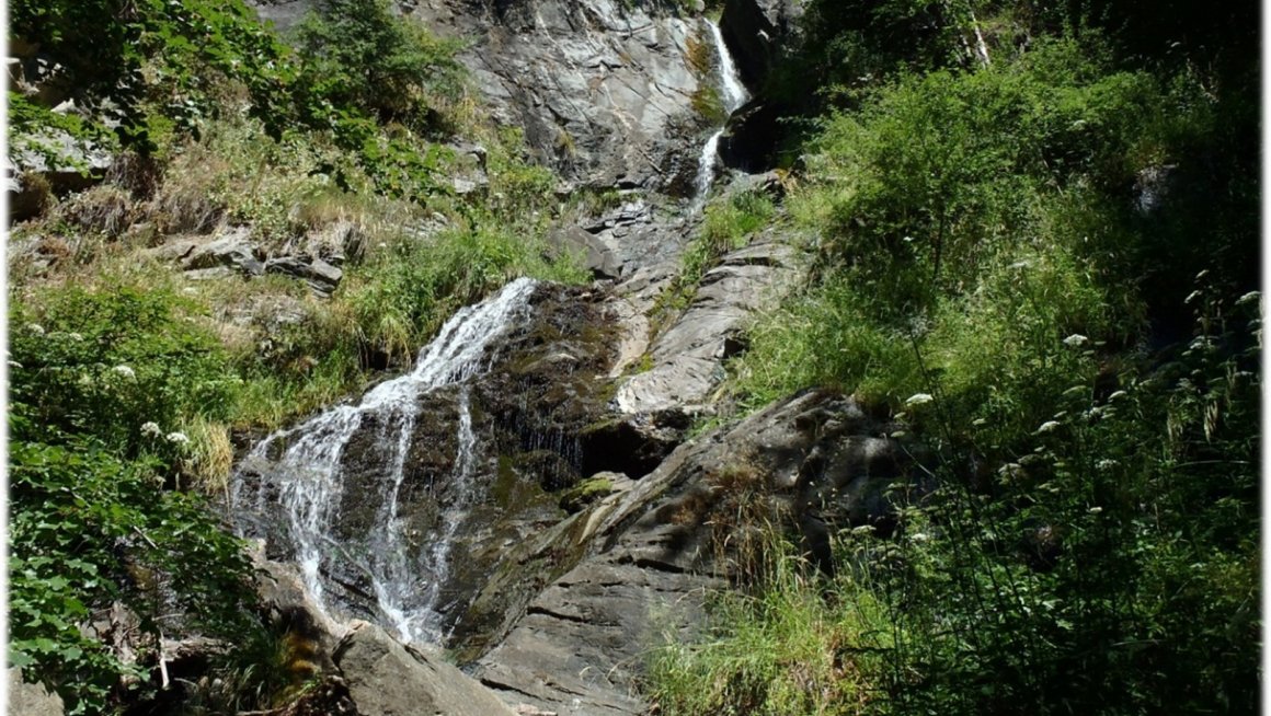 priroda