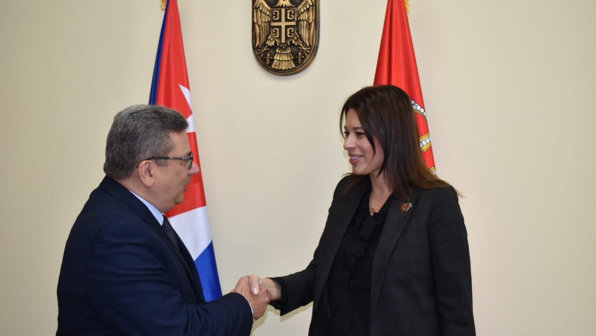 Vujovic - ambasador Kube