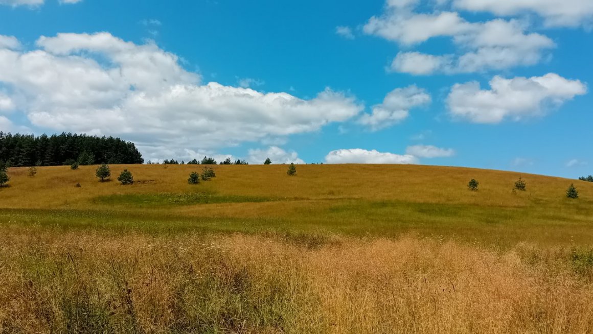 Zlatibor.JPG