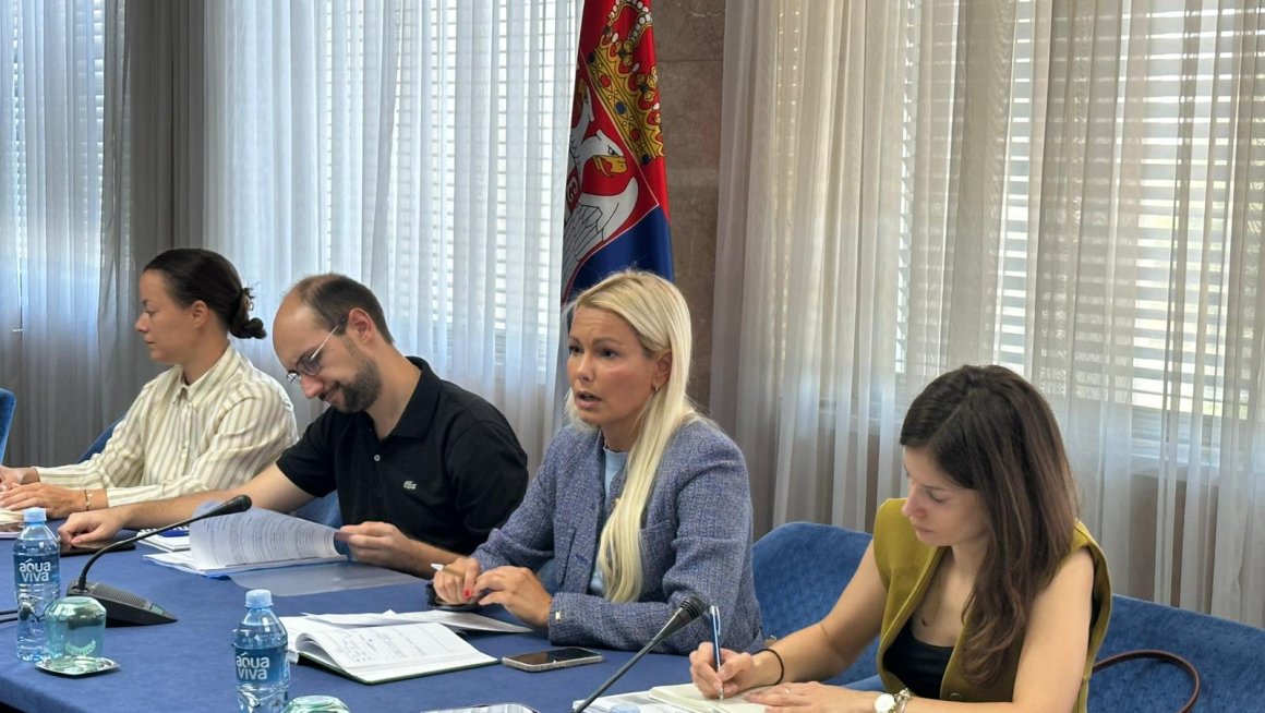Radna grupa